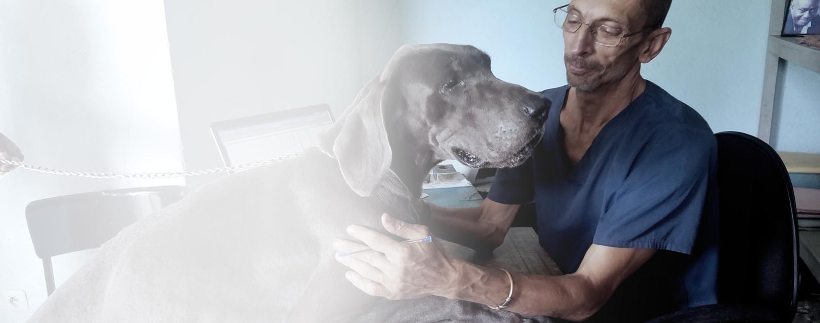 La santé de vos animaux, notre priorité