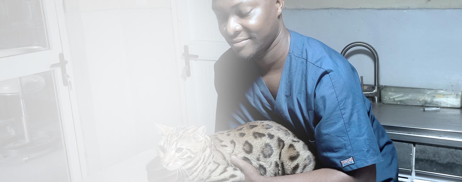 Des soins adaptés à chaque animal