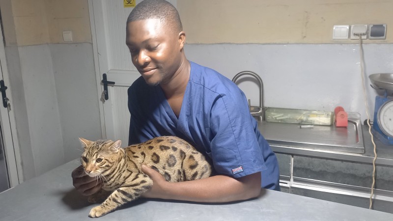 Surveiller le poids de son chien ou de son chat