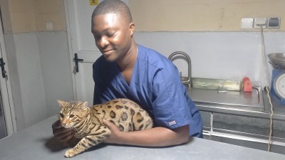 Surveiller le poids de son chien ou de son chat