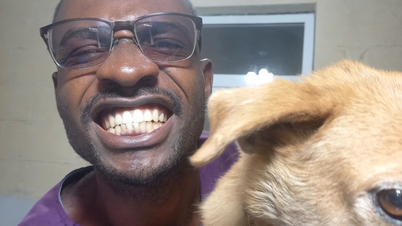 Pourquoi surveiller les dents de son animal
